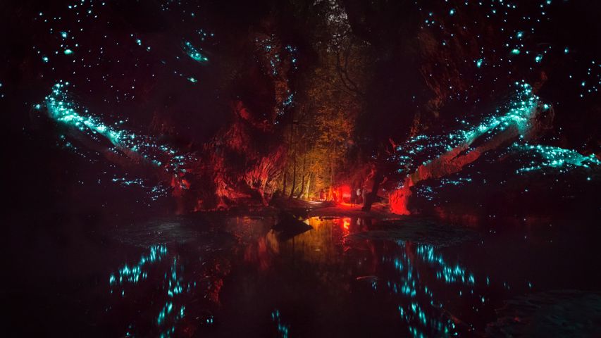 グローワーム洞窟, オーストラリア