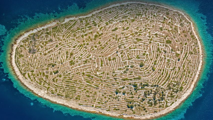 ｢バヴリェナツ島｣クロアチア