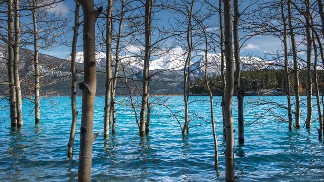 「アブラハム湖」カナダ, アルバータ州