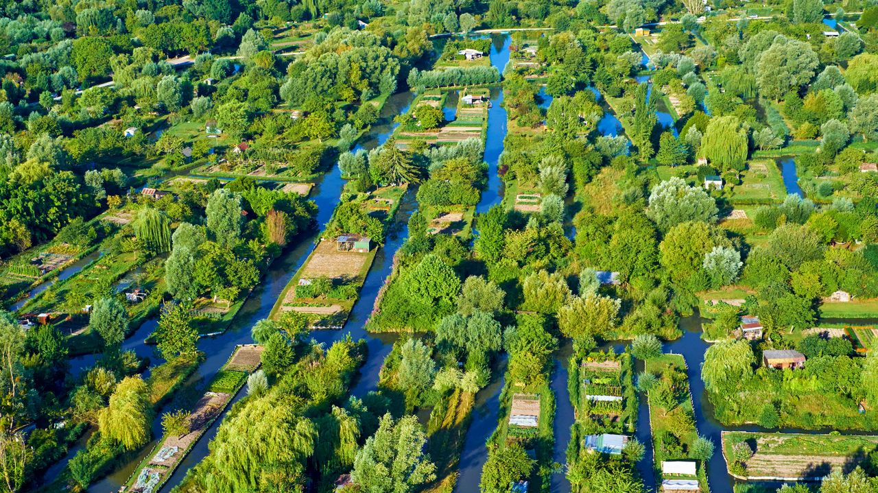 ブールジュの沼地, フランス