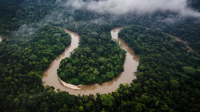 アマゾン熱帯雨林, エクアドル