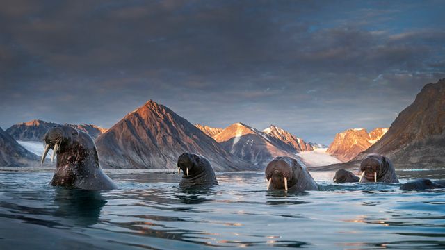 スヴァールバル諸島, ノルウェー