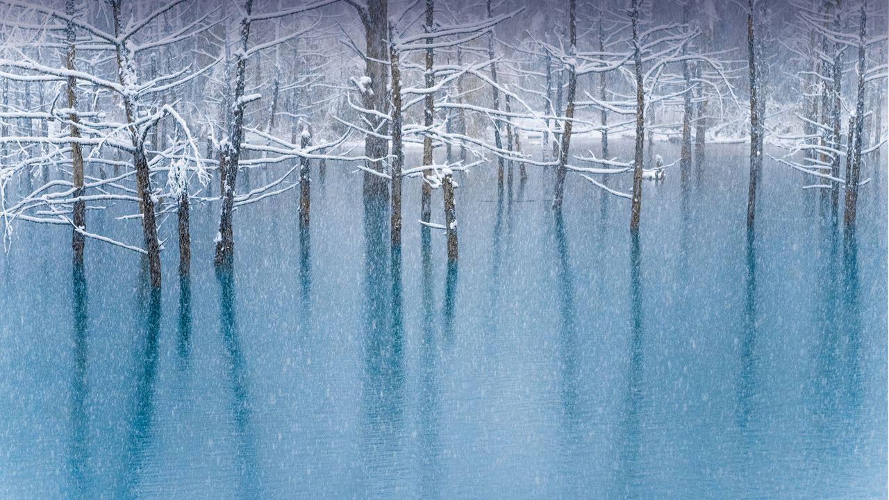 青い池, 北海道
