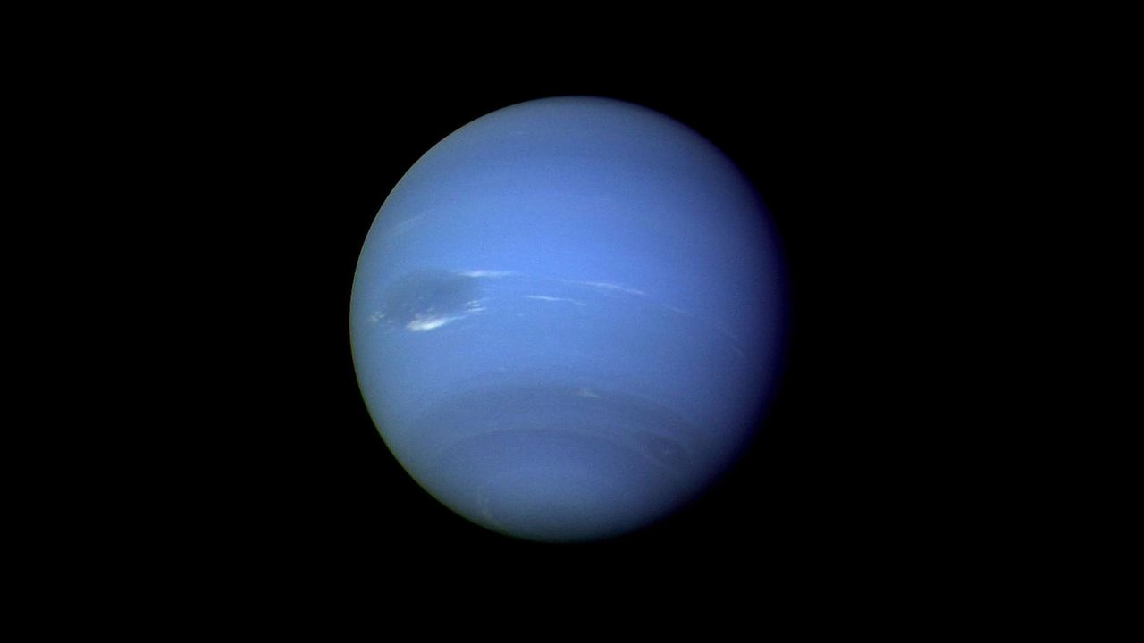 ｢海王星｣