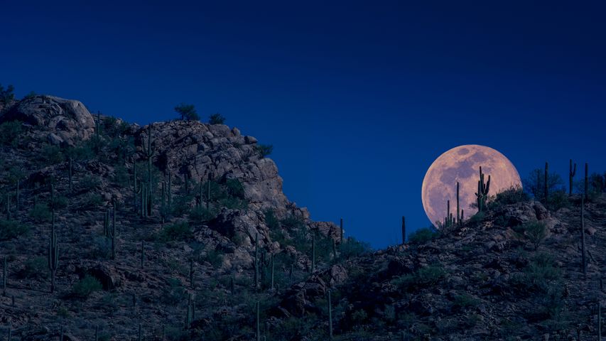 ツーソンの夜空に現れた月, 米国 アリゾナ州