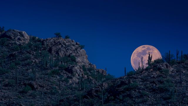 ツーソンの夜空に現れた月, 米国 アリゾナ州