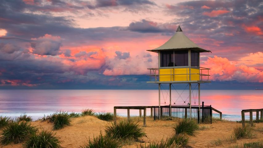 ｢ライフガード・タワー｣オーストラリア, ニューサウスウェールズ州