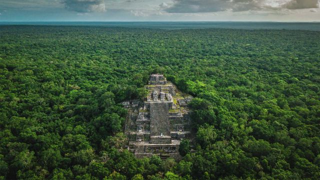 「カラクムルの古代マヤ文明遺跡」メキシコ, カンペチェ州