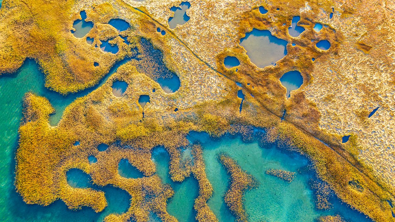 グロスターの湿地, 米国 マサチューセッツ州