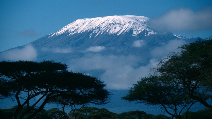 アフリカの屋根