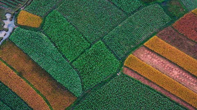 「桂林の田園」中国, 広西チワン族自治区