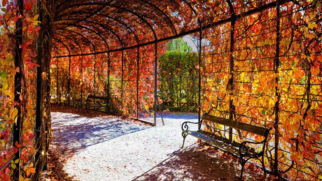 ｢シェーンブルン宮殿の紅葉｣オーストリア, ウィーン