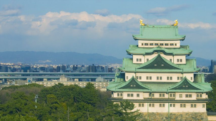 ｢名古屋城｣愛知, 名古屋