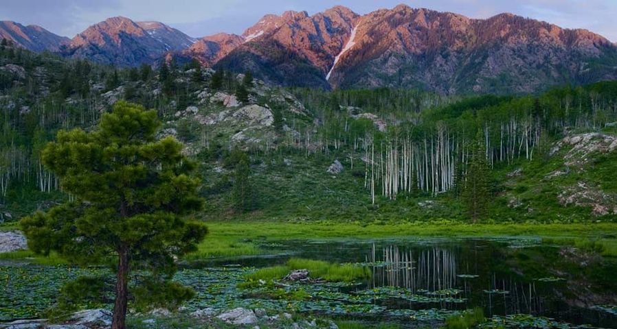 ｢ビーバー池から望むサンファン山の頂｣アメリカ, コロラド州