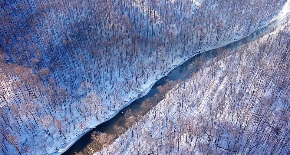 ｢冬の小川｣アメリカ, バージニア州