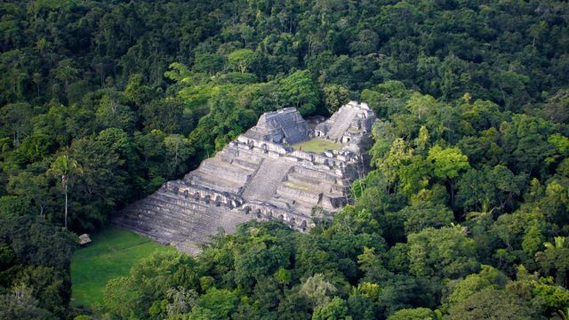 「カラコル・マヤ遺跡」ベリーズ