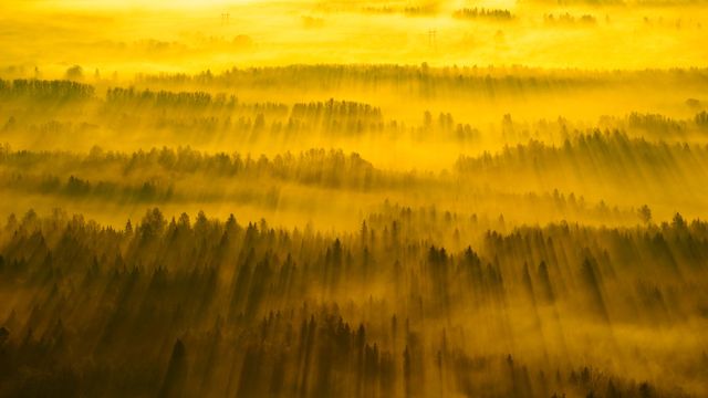 「タルトゥ郊外」エストニア