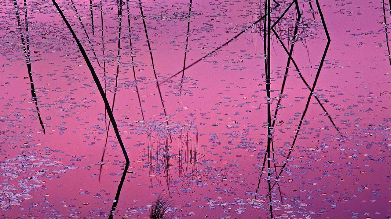 ｢湖面に映る夕陽｣アメリカ, ミネソタ州