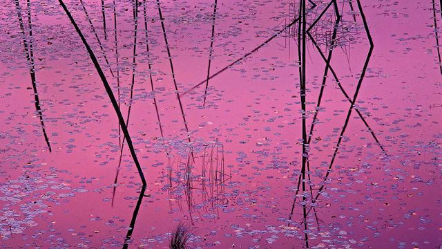 「湖面に映る夕陽」アメリカ, ミネソタ州