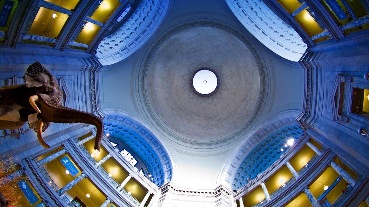 ｢国立自然史博物館｣アメリカ, ワシントンD.C., スミソニアン博物館