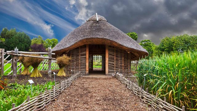 「バイキングの家」アイルランド, ダブリン国立植物園