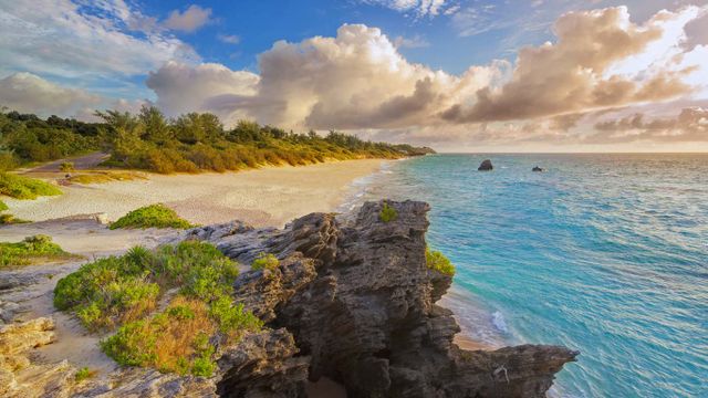 「ワーウィック・ロング・ベイ」バミューダ諸島
