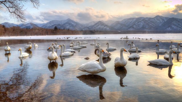 屈斜路湖, 北海道