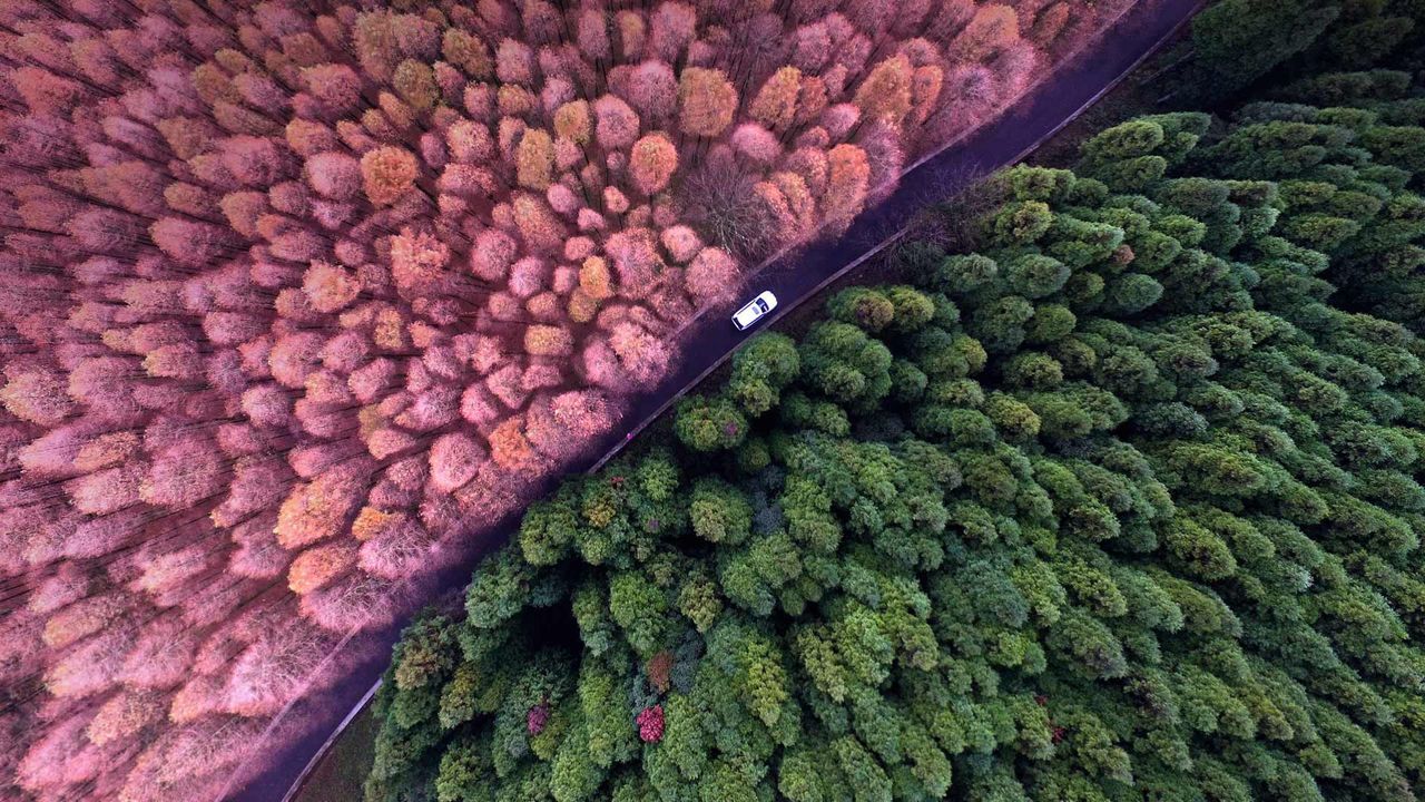 ｢山王坪カルスト国家生態公園｣中国, 重慶市 