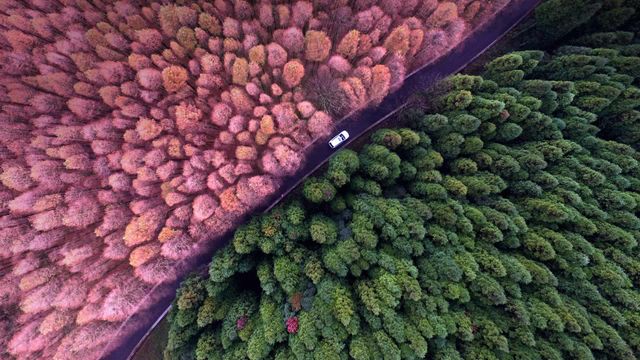 ｢山王坪カルスト国家生態公園｣中国, 重慶市 