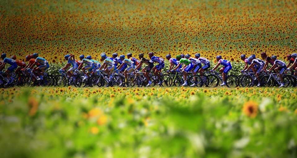 ヤコブ・メイエル・ド・ハーン、ル・プルデュ風景、果樹園にて、希少な画集より ファイル:Van Gogh - Der Garten von Daubigny1.jpeg - Wikipedia
