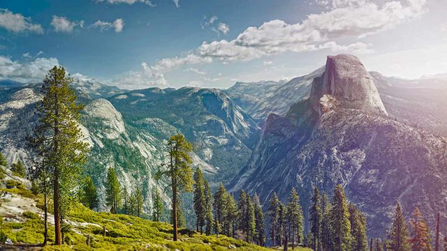 ヨセミテ国立公園 写真集 100年間 Yosemite 洋書 25,783 ヨセミテ国立公園 Stock Photos, High-Res Pictures, and