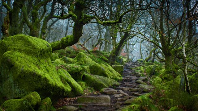 「パドレー峡谷」イギリス, ダービシャー
