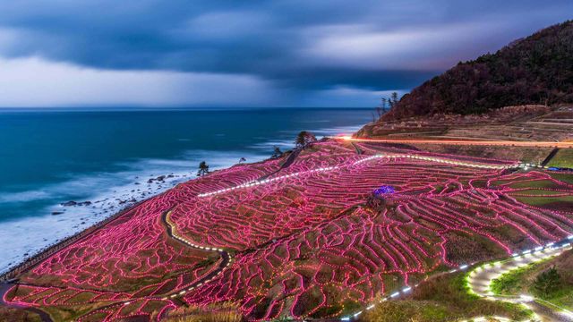 「白米千枚田のライトアップ」石川, 輪島市