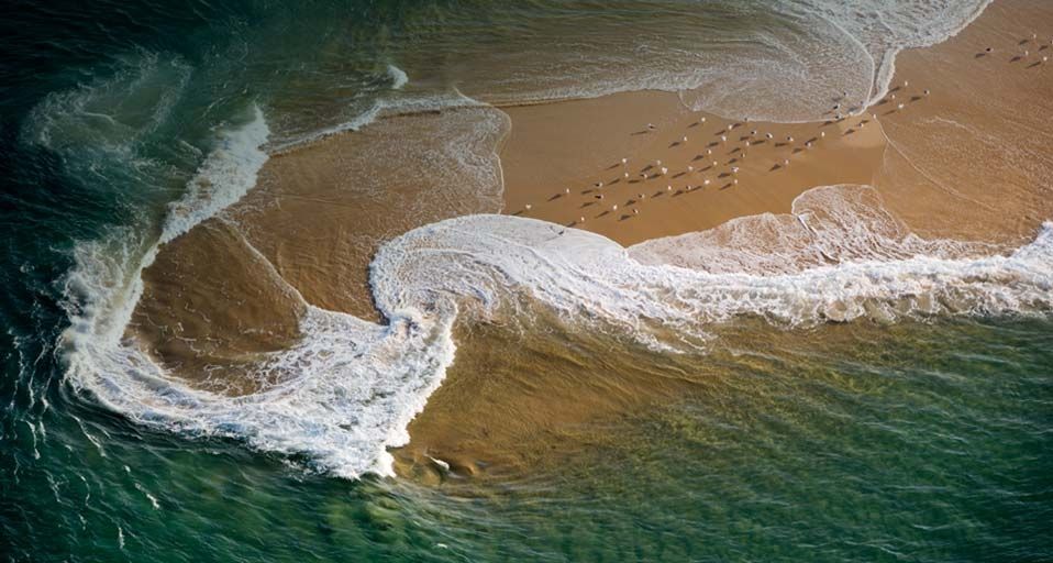 ｢アルカション湾のカモメの群れ｣フランス, ジロンド
