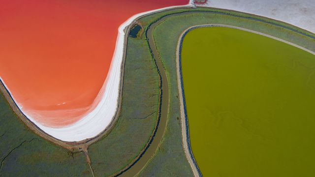 「サンフランシスコ湾の塩田」米国カリフォルニア州