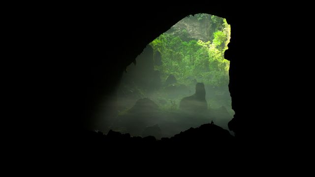 ｢ソンドン洞｣ベトナム