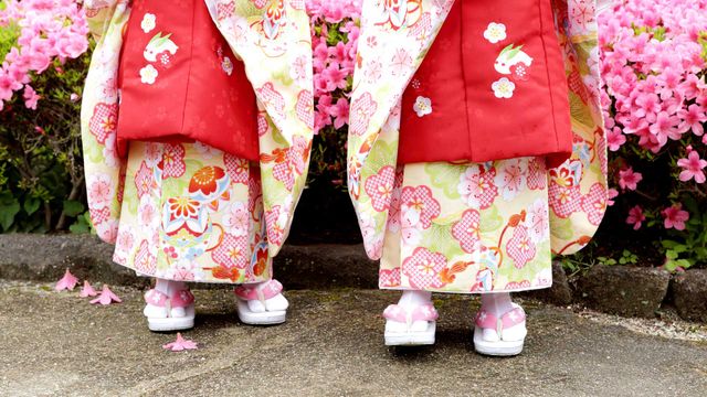 「振袖姿の双子」