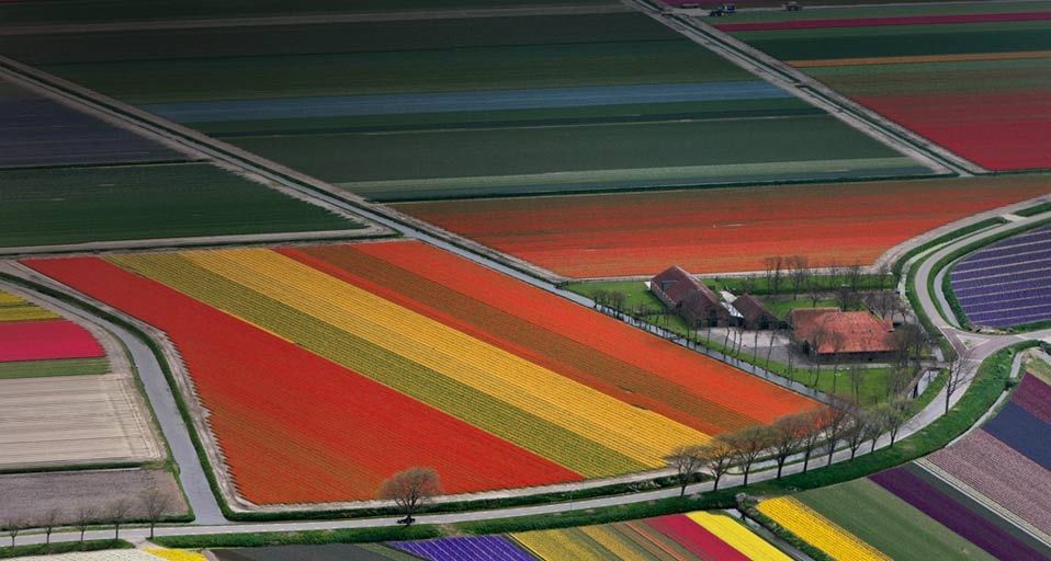 ｢オランダの花畑｣オランダ, アムステルダム