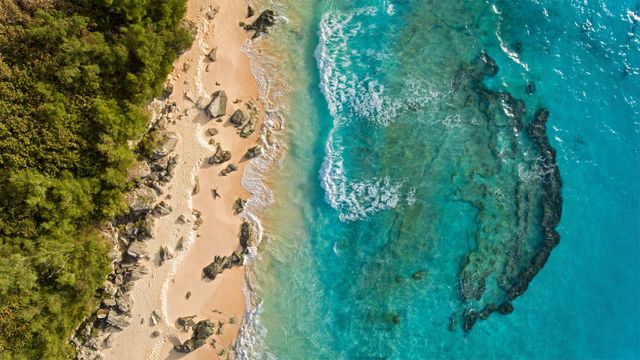 「マーリー・ビーチ」バミューダ諸島