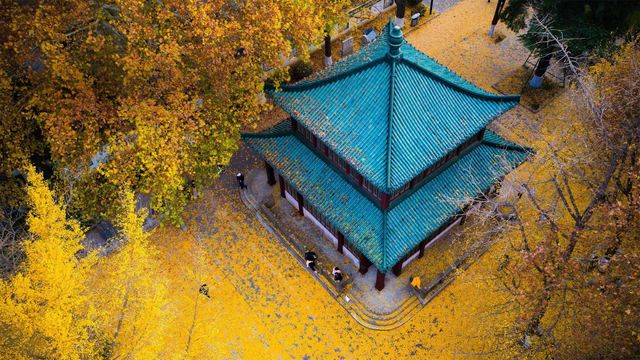 「秋の玄武湖公園」中国, 江蘇省