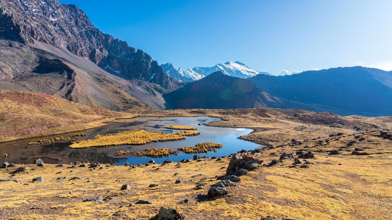 黄金色の草と高山湖, アンデス山脈
