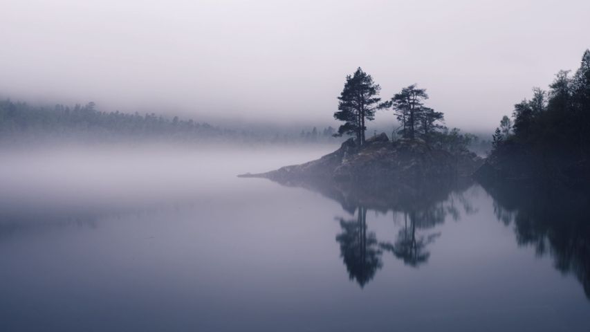 水, 屋外, 木, 空, 霧, 風景, 山