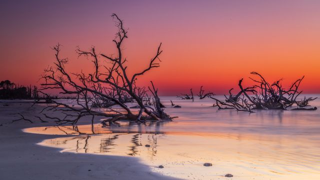 ボニーヤード・ビーチ, 米国 サウスカロライナ州