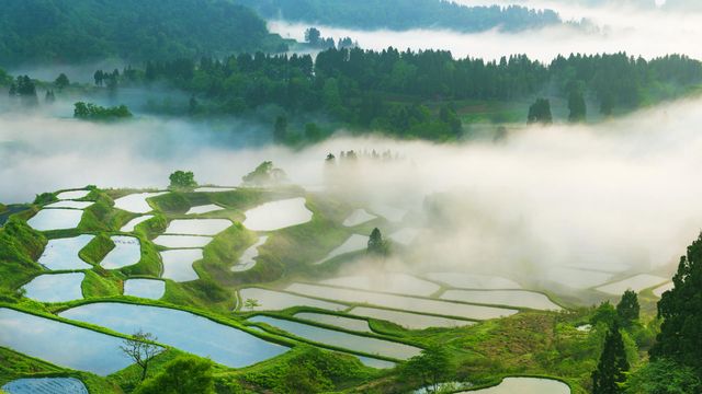 「星峠の棚田」新潟県十日町市