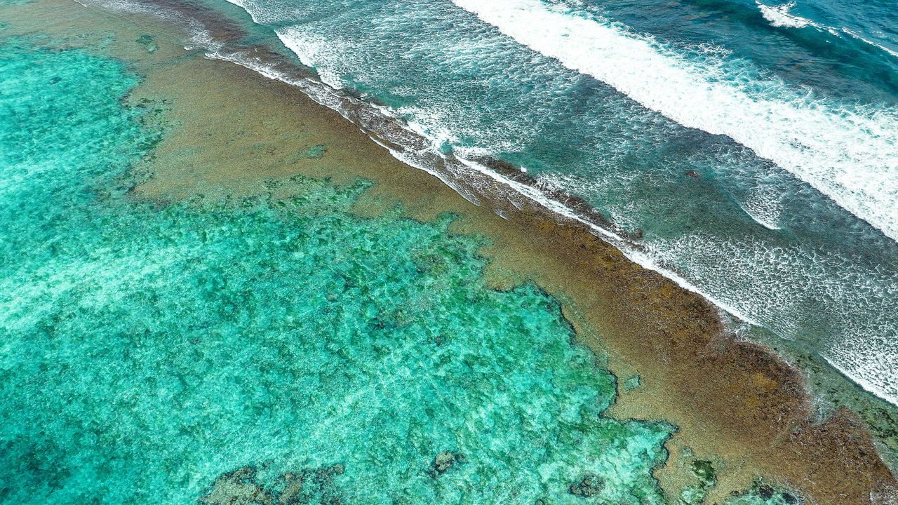 サンゴの海岸, モルディブ