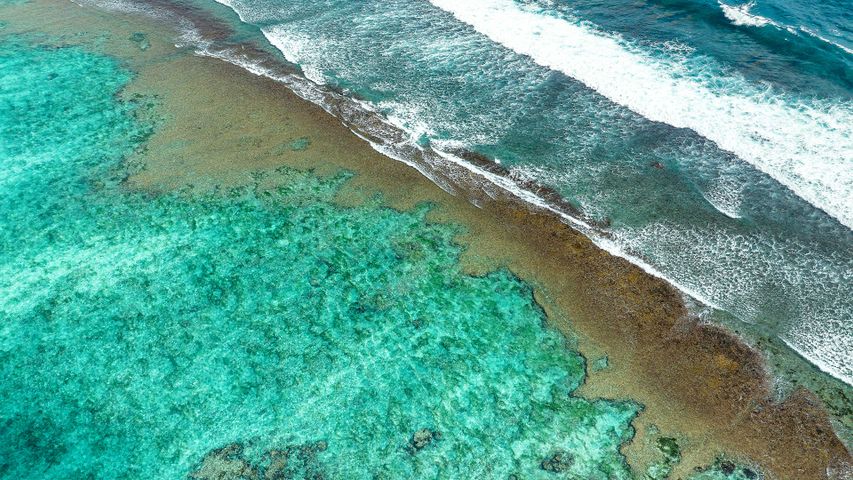 サンゴの海岸