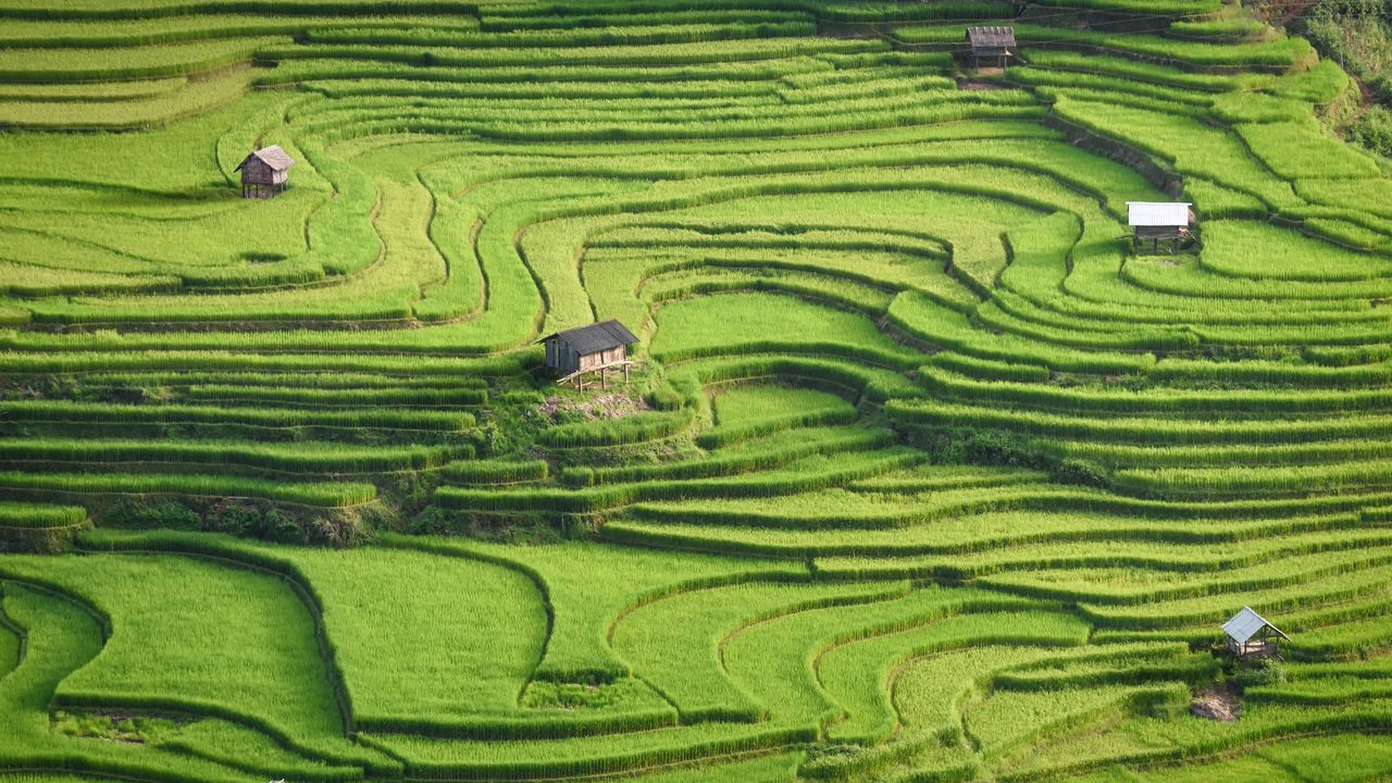 ムーカンチャイ県, ベトナム