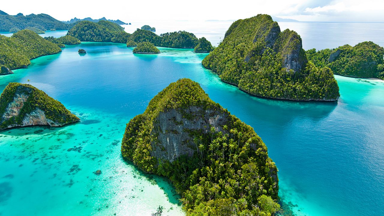サンゴ礁の群島, インドネシア ラジャ・アンパット
