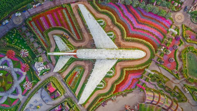 「ドバイ・ミラクルガーデン」アラブ首長国連邦, ドバイ