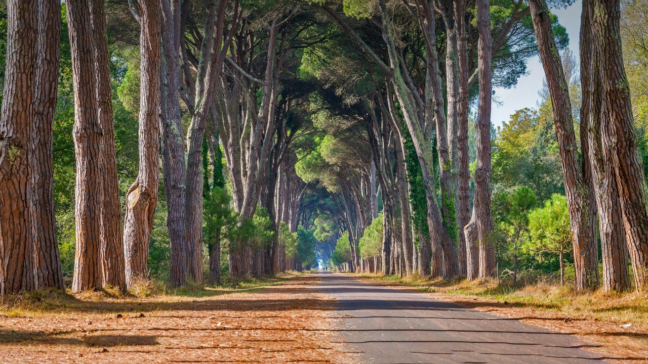ミリアリーノ・サンロッソーレ・マッサチウッコリ州立公園, イタリア